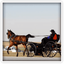 Amish Buggy Rides near Elk Forge Bed and Breakfast
