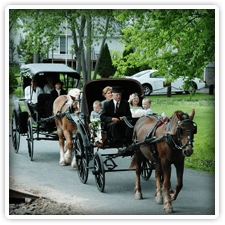 Fairwinds Farm and Stables near Elk Forge Bed and Breakfast