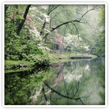 Hagley Museum Gardens near Elk Forge