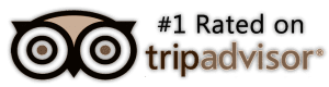 tripadvisor.com, tripadvisor logo, reviews on trip advisor