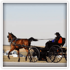 Amish Buggy Rides in Lancaster Pennsylvania