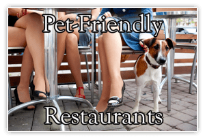 pet friendly restaurants near elk forge inn