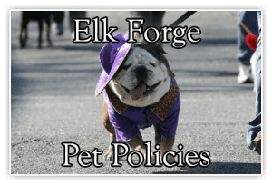 pet policies at elk forge inn