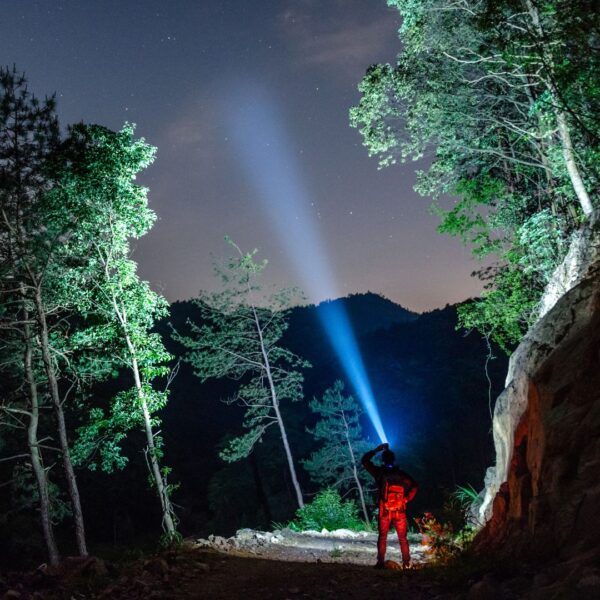 a person with a flashlight in the woods at night
